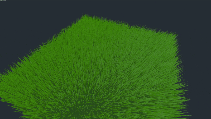 Grass grow